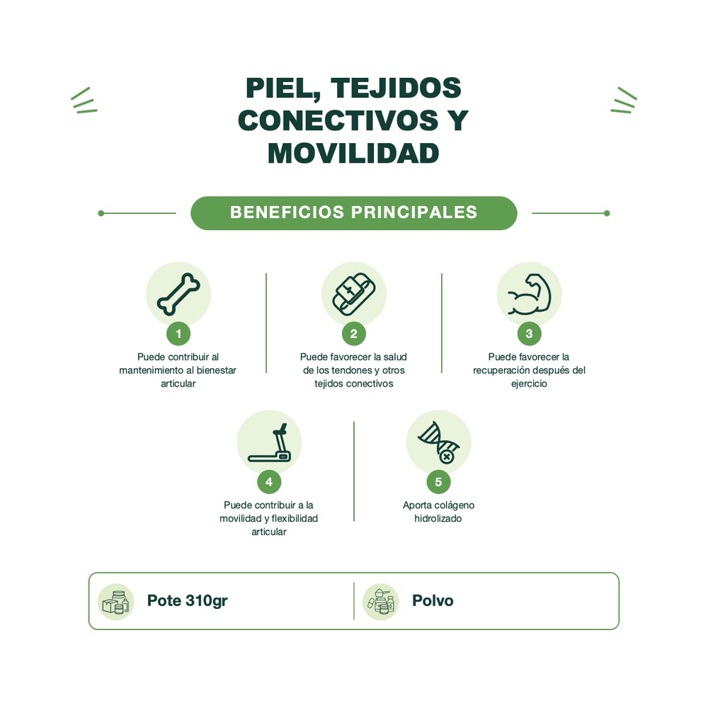 Colágeno Hidrolizado - 310 G - Collaflex