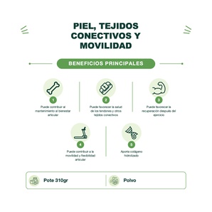 Colágeno Hidrolizado - 310 G - Collaflex