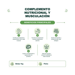 Proteína Whey - Impact Whey Protein - Sabor Natural Chocolate - 1 kg - My Protein