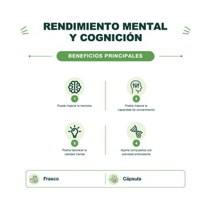 Melena de León - 60 Cápsulas - Tinku