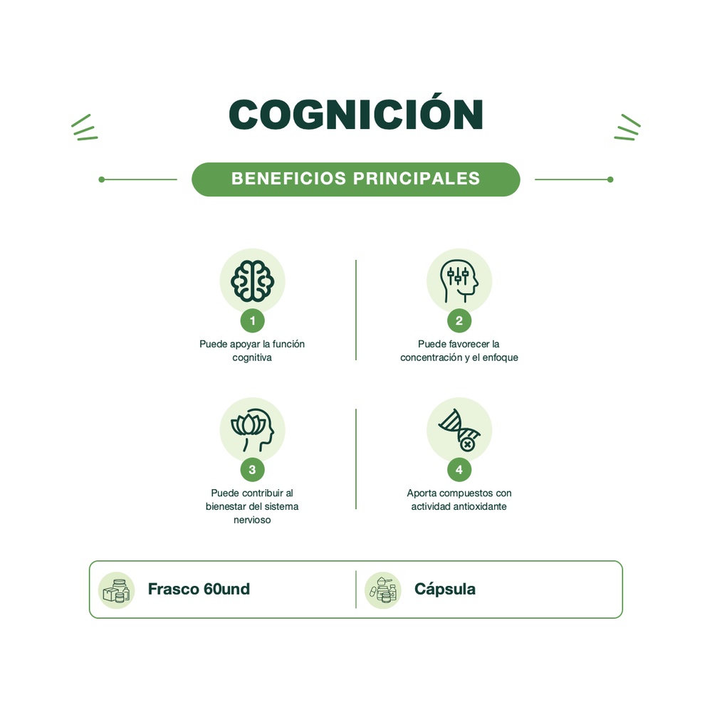 Hongo - Focus Melena de León - 60 Cápsulas - Mush Naturals