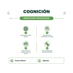 Hongo - Focus Melena de León - 60 Cápsulas - Mush Naturals