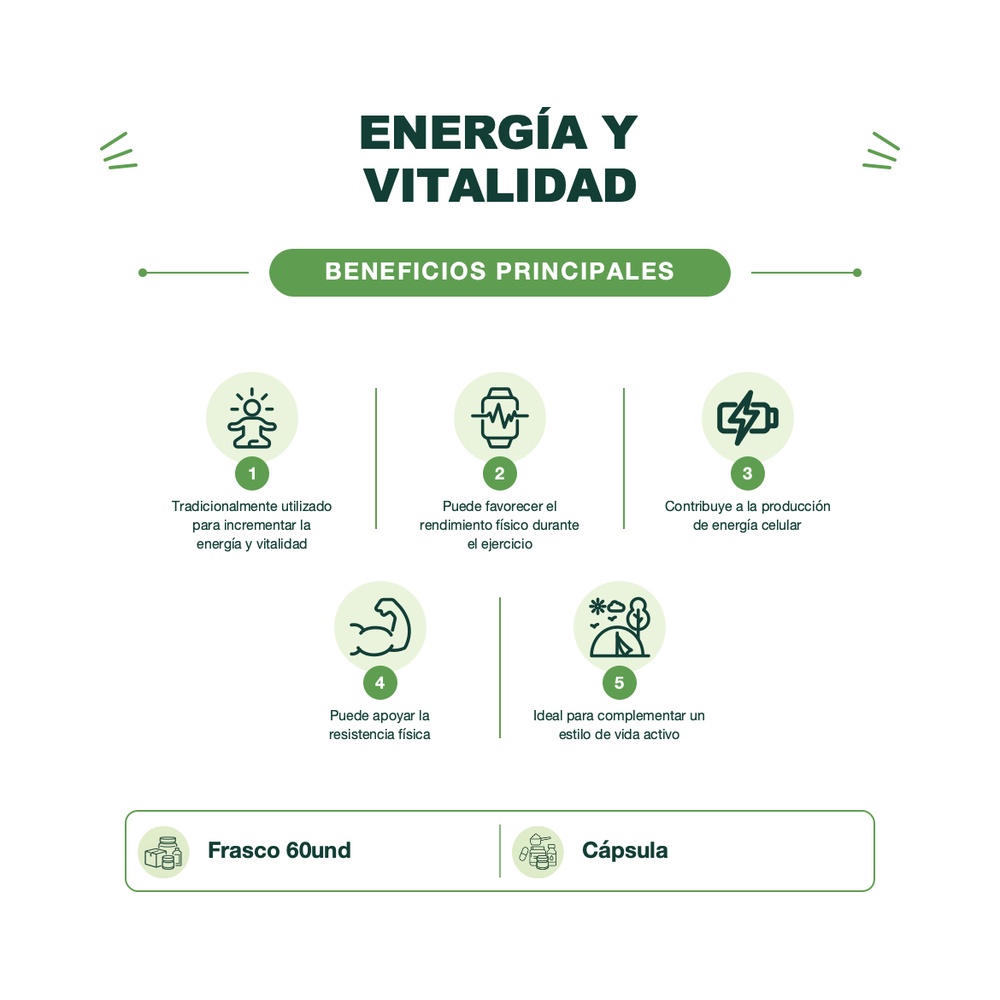 Hongo Cordyceps - Energy - 60 Cápsulas - Mush Naturals