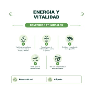 Hongo Cordyceps - Energy - 60 Cápsulas - Mush Naturals