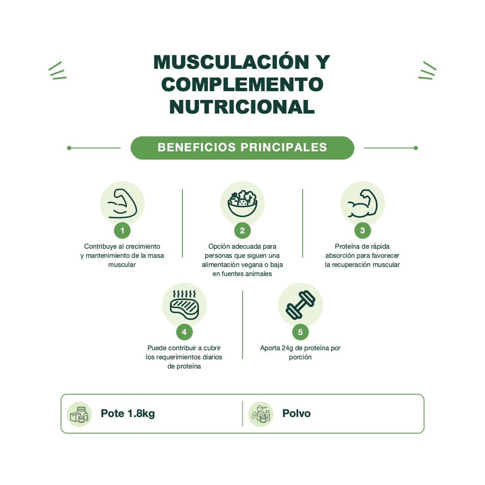 Proteína Vegetal - Critical Plant Chocolate - Chocolate - 1.8kg - Applied Nutrition