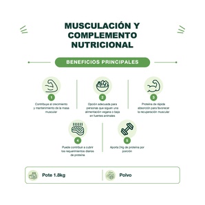 Proteína Vegetal - Critical Plant Chocolate - Chocolate - 1.8kg - Applied Nutrition