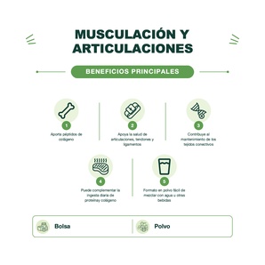 Proteína de Colágeno - Collagen Protein - Sin Sabor - 1kg - My Protein