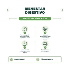 Enzimas Digestivas - 90 Cápsulas - Sunwarrior