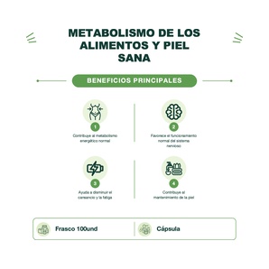 Vitamina B3 - Niacina 500 mg - 100 Cápsulas - NOW