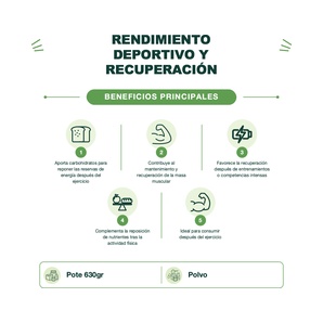 Recuperación Carbohidratos + Proteína + Electrolitos - Recover - Sabor Vainilla y Canela - 630 g - Gopak Nutrition